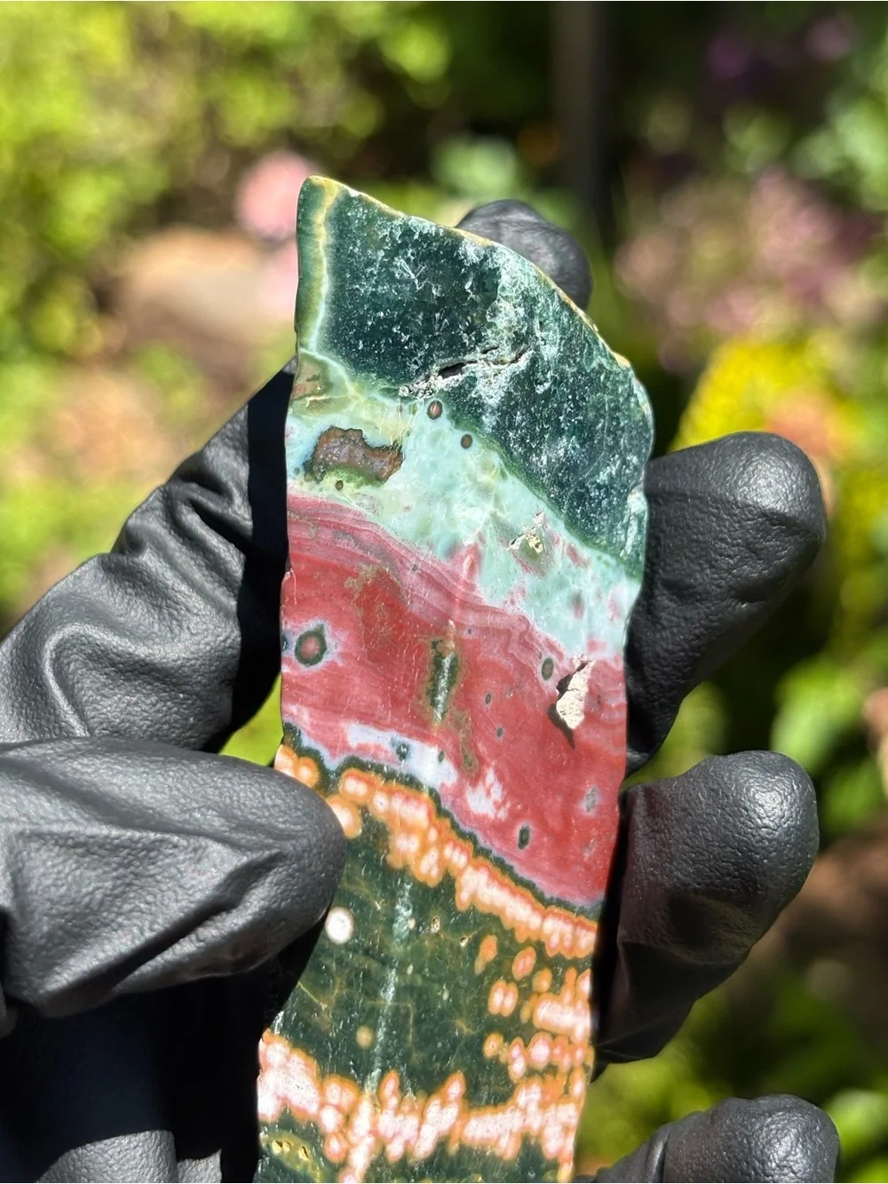 Colorful Ocean Jasper Slab - Druzy Sea Jasper - Polished Orbicular Jasper